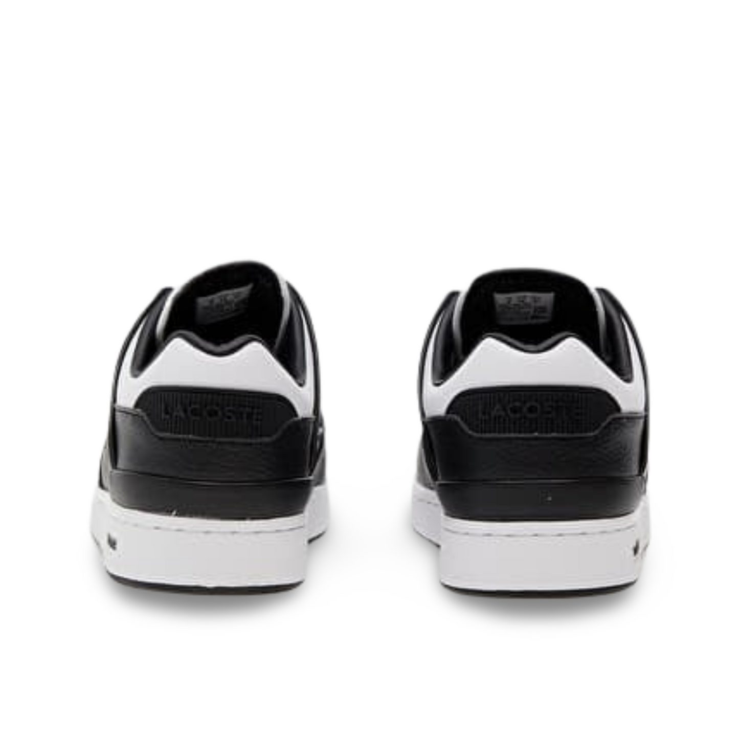 lacoste Court Cage White/ Black